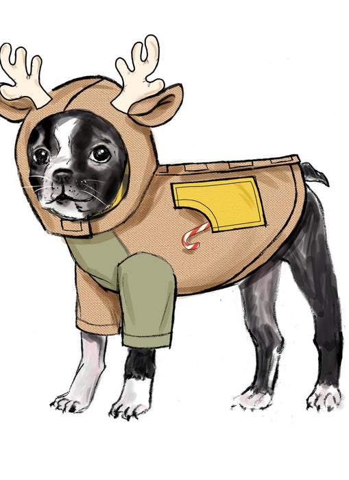 S9663 Pet Coats with Optional Hoods and Cowls in Sizes S-M-L and Adult Cowl