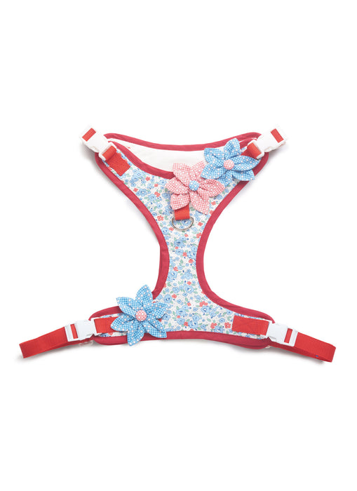 S9664 Dog Harness and Leash with Trim Options