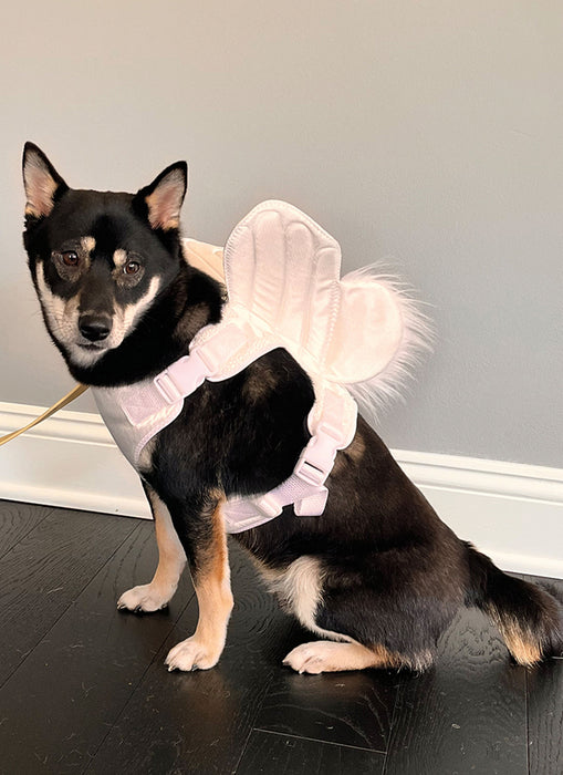 S9875 Dog Harness with Wings by Carla Reiss Design