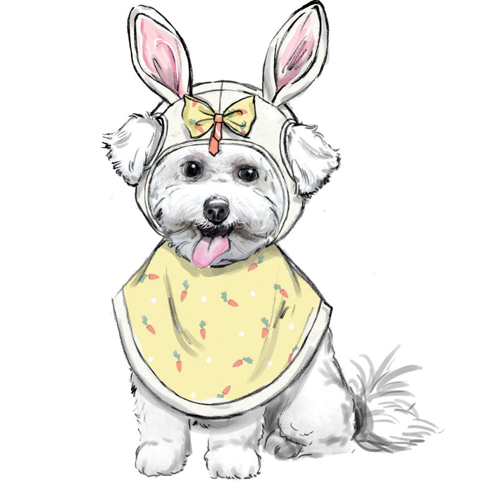 S9497 Pet Accessories