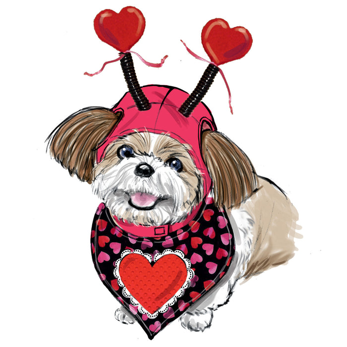 S9497 Pet Accessories