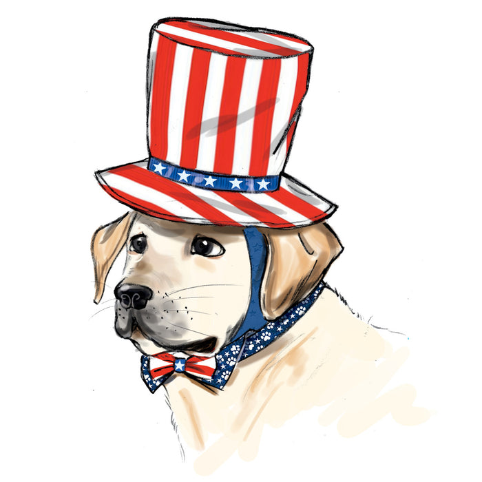 S9497 Pet Accessories