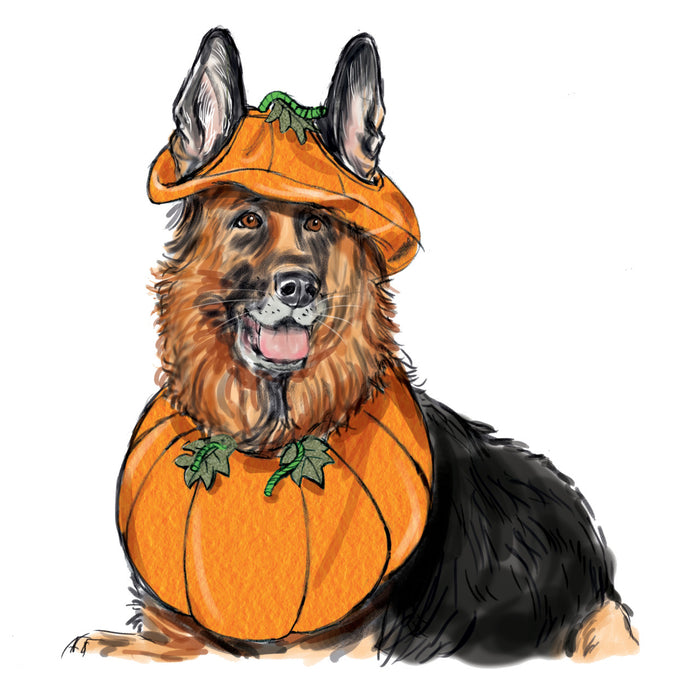 S9497 Pet Accessories