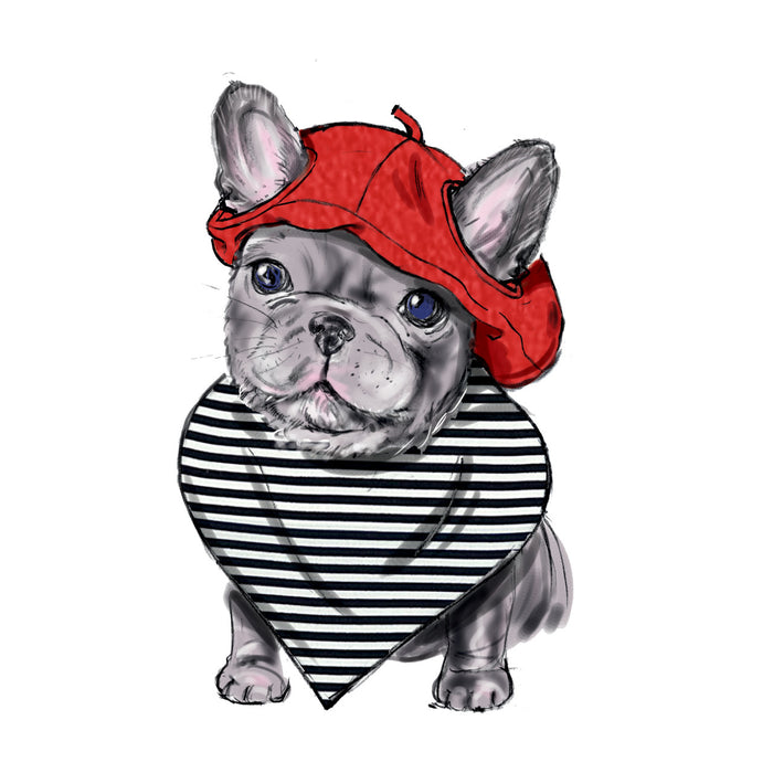 S9497 Pet Accessories