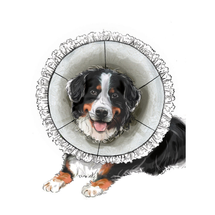 S9582 Pet Elizabethan Collars by Carla Reiss